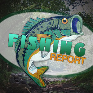 fireline vs braid  NorEast Fishing Forum