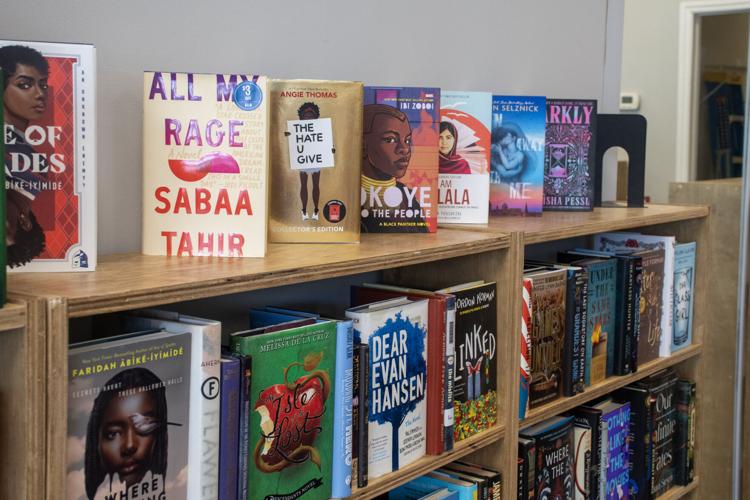 Bookshelves 2