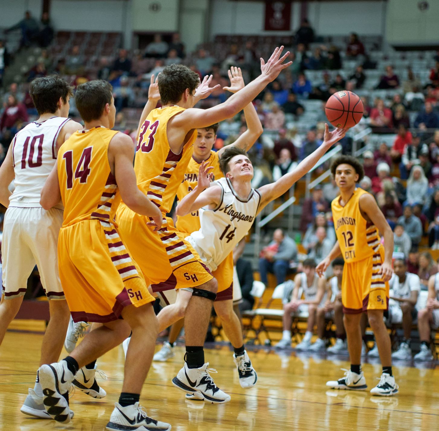basketball db