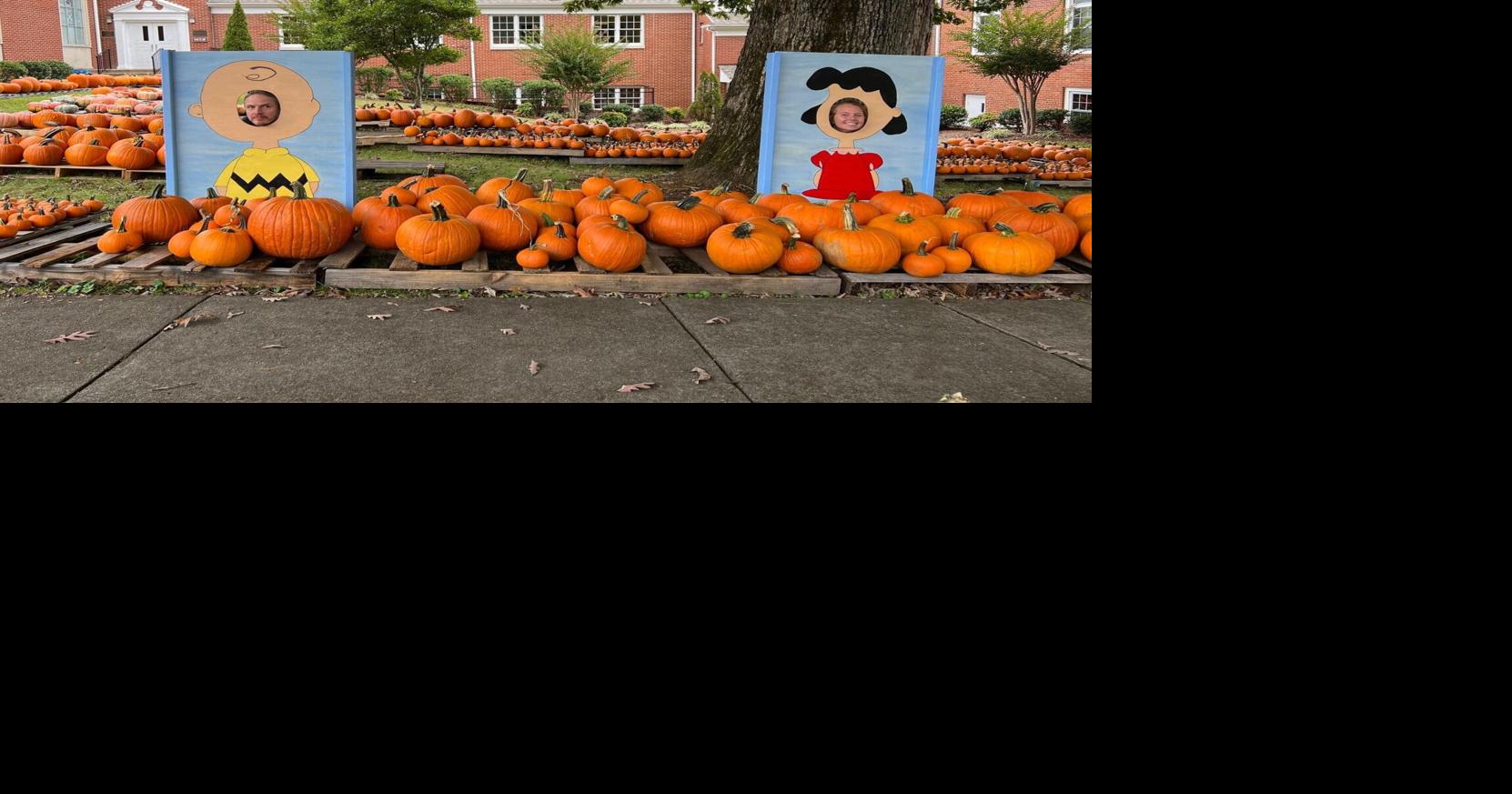 Tennessee Sports Teams Pumpkin Decor Titans Volunteers 