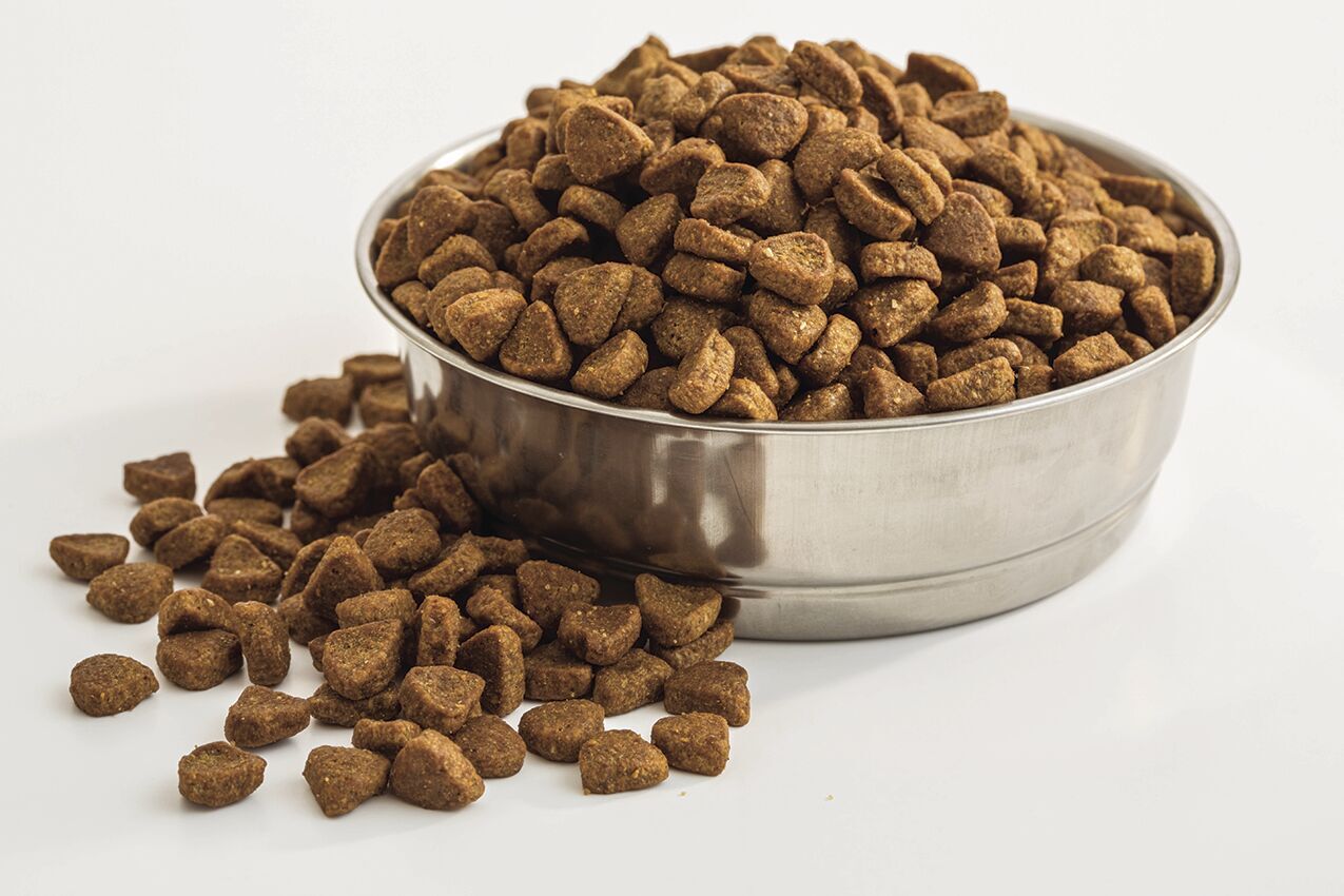 Akc hotsell dog food