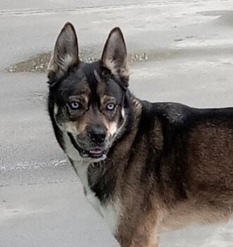 082325frankie