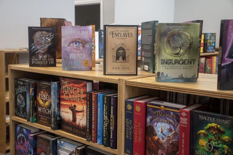 Bookshelves 1
