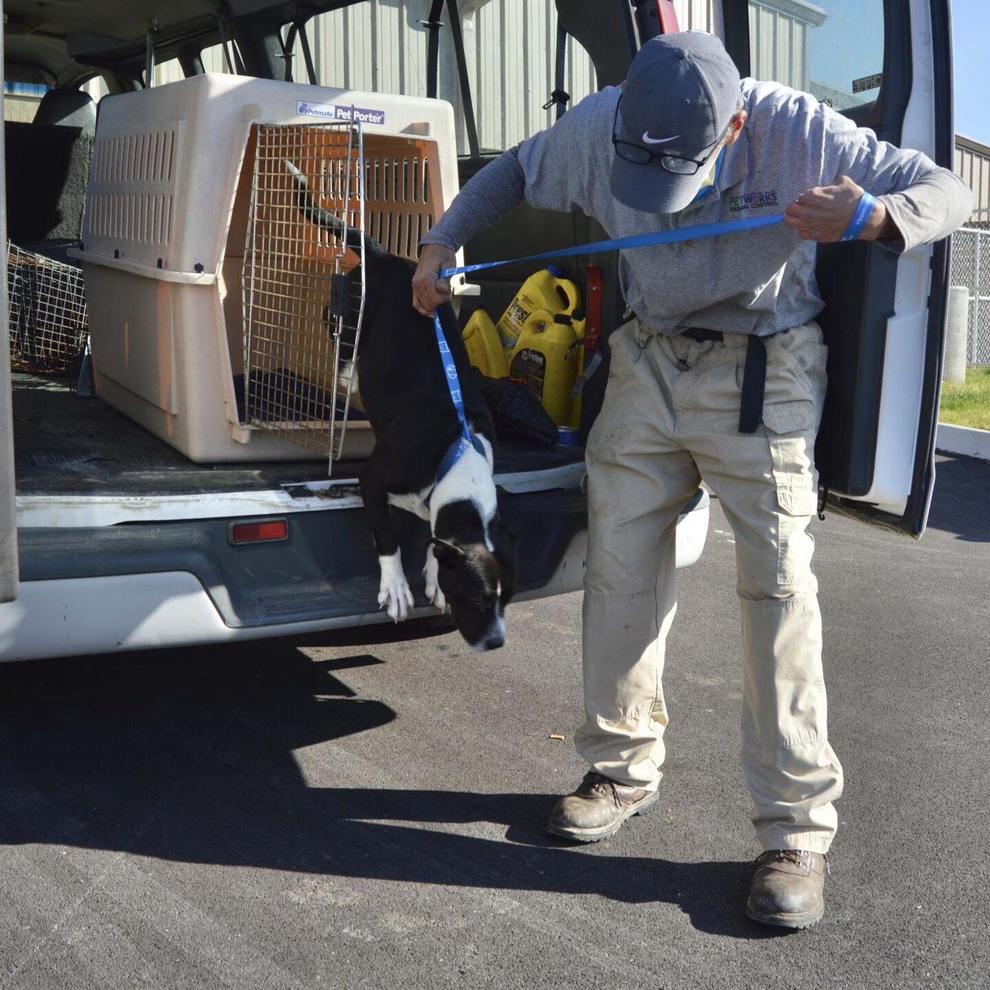 Kingsport leaders focusing on animal ordinances | Local News Kingsport leaders focusing on animal ordinances | Local News