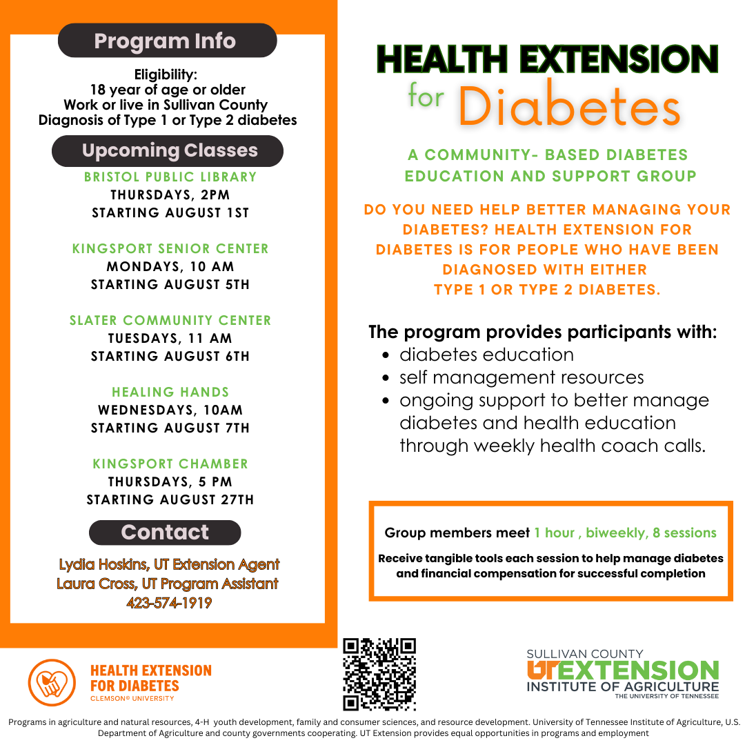 Free diabetes program to launch in Sullivan County   Wellness ...