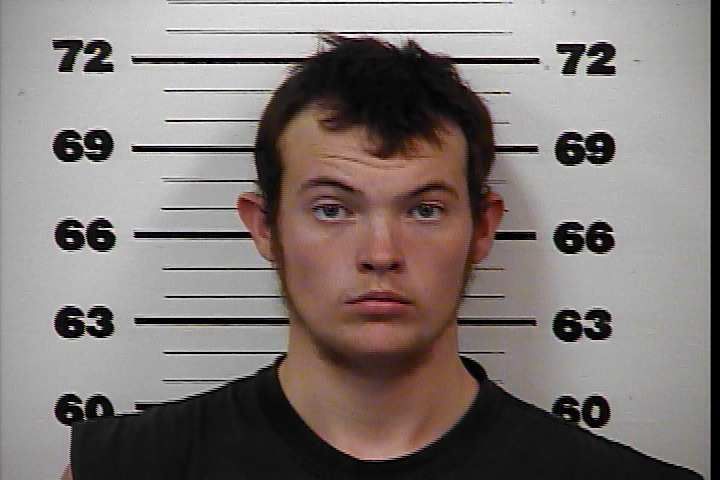 Accused thief wanted to prove he could drive a heavy duty ...
