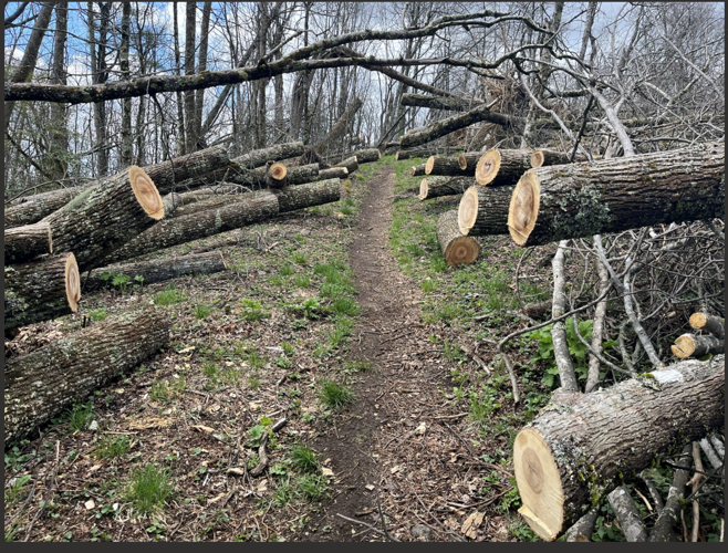 Southern Appalachian Wilderness Stewards