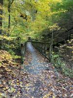 Steele Creek Park is one of the best places to hike in the Tri-Cities