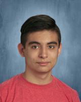 College Board honors four Science Hill students