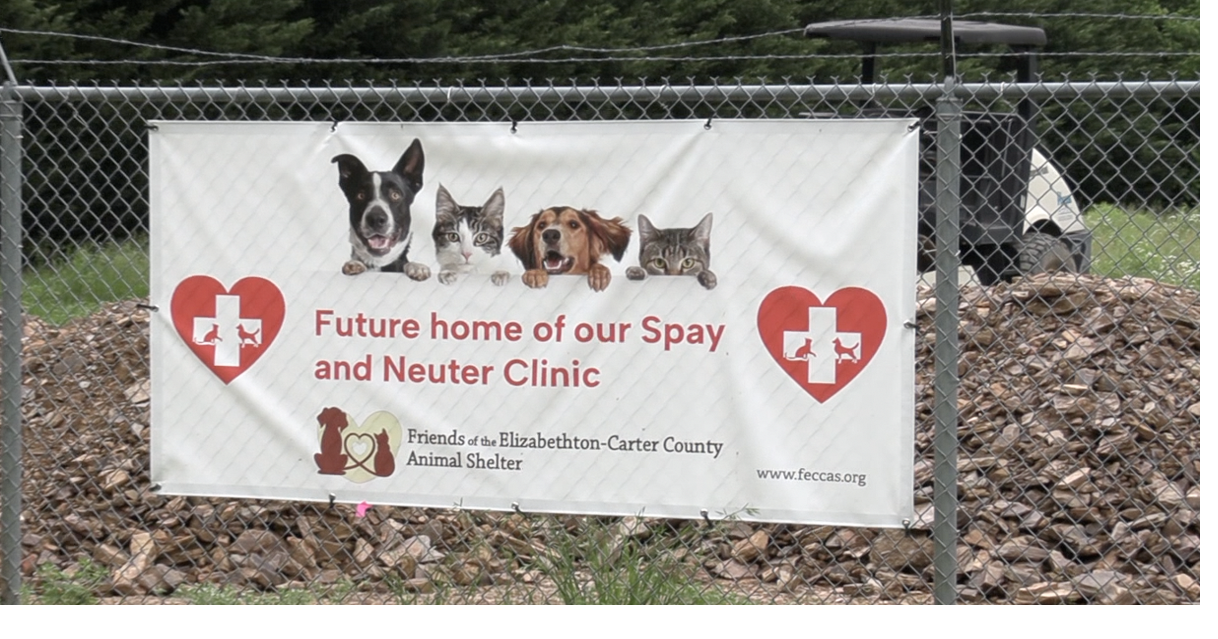 Carter co animal sales shelter