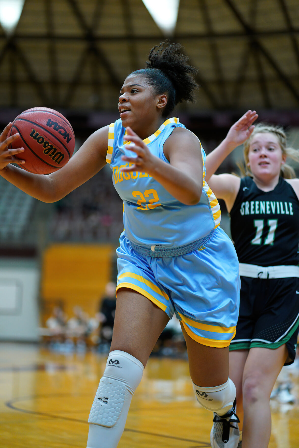 basketball db