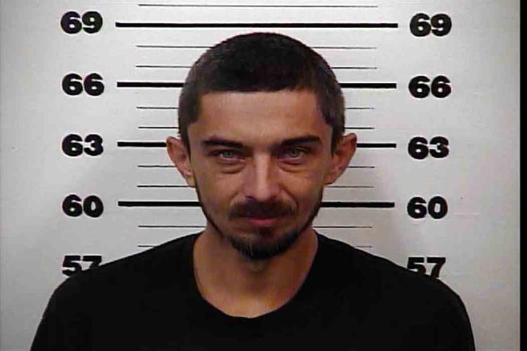 Rogersville daycare worker pleads guilty to filing false reports about