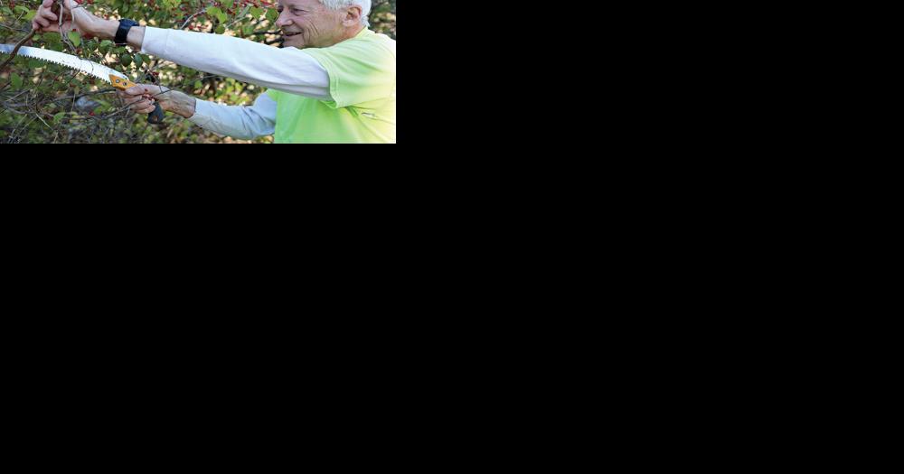 "Honeysuckle Slayer" | Webster Kirkwood Times | timesnewspapers.com - Vimarsana News