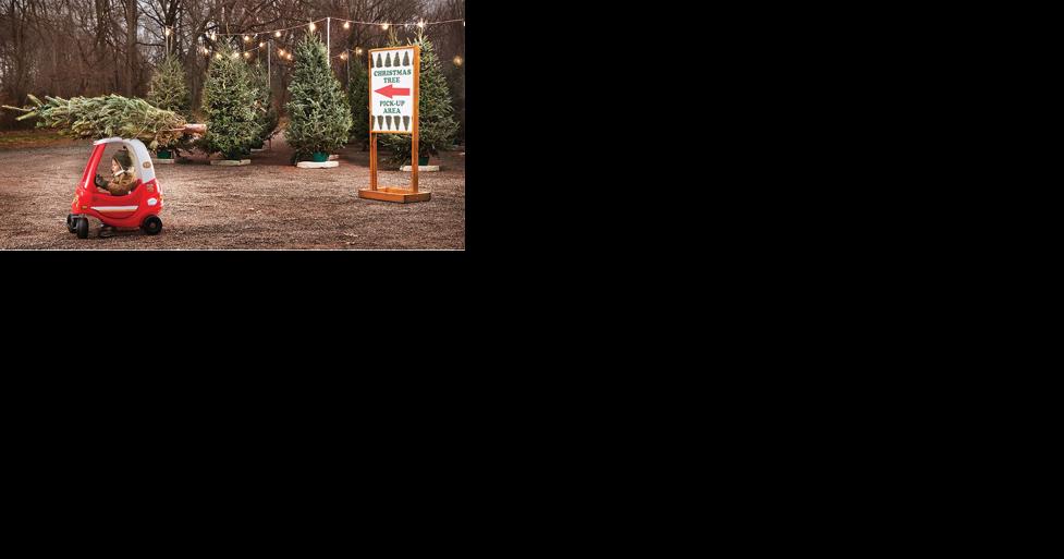 Kirkwood Optimist Club Christmas Tree Lot Returns Nov. 24 - Vimarsana News