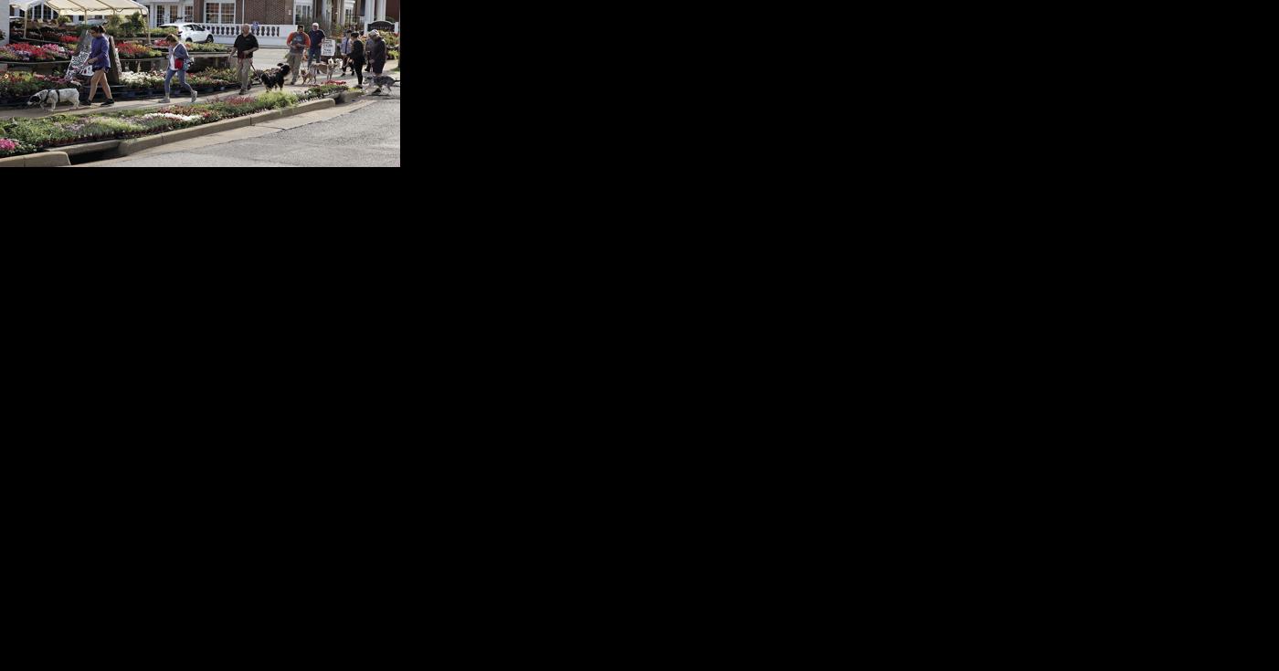 Inaugural Webster Groves Community Dog Walk - Vimarsana News