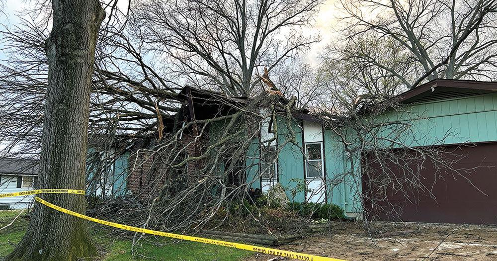Man Survives After Tree Crashes Into His Wexford Avenue Home | Webster ...