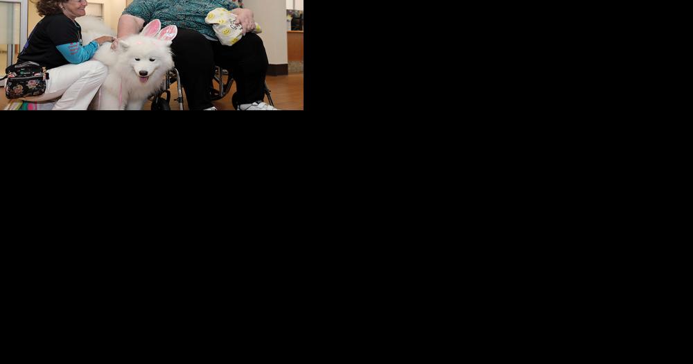 Volunteers Make "A World Of Difference" | Webster Kirkwood Times - Vimarsana News
