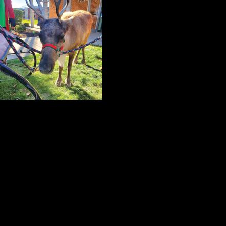KVC Hosts Holiday Fair | Webster Kirkwood Times | timesnewspapers.com