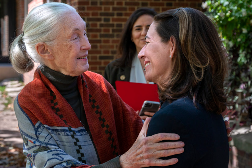 Jane Goodall & The Primatologist Next Door | Webster Kirkwood