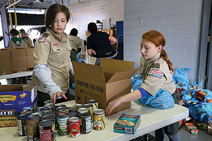 SCT Scouting for Food 1
