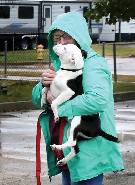Bootheel Paws Express 1