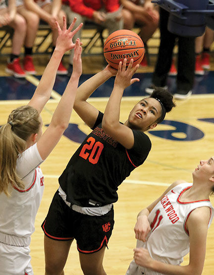 Kirkwood Webster Basketball 3