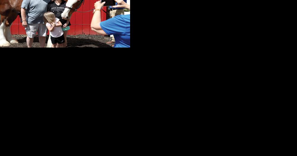 Grant's Farm - Vimarsana News