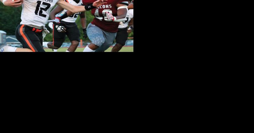 Statesmen Hold Out For Season-Ending Upset - Vimarsana News