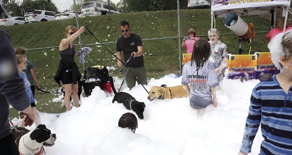Firehouse Hounds Adoption Event ster Kirkwood Times