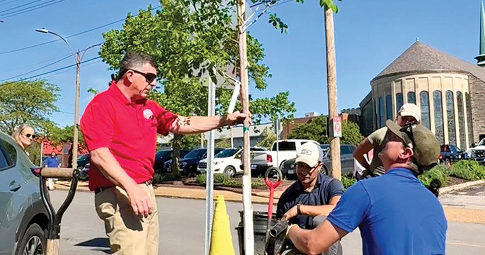 Revised Tree Code Aims To Re-Leaf Urban Canopy