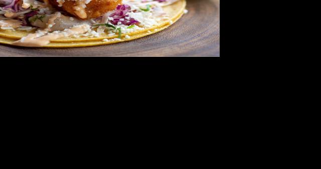 Taco Buddha On The Way - Vimarsana News