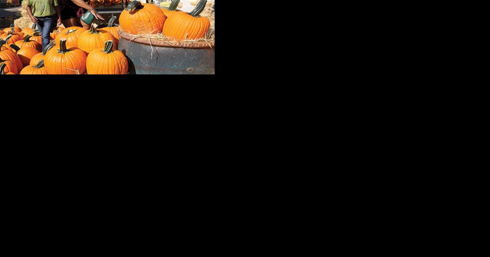 Kirkwood Celebrates The Arrival Of Fall - Vimarsana News