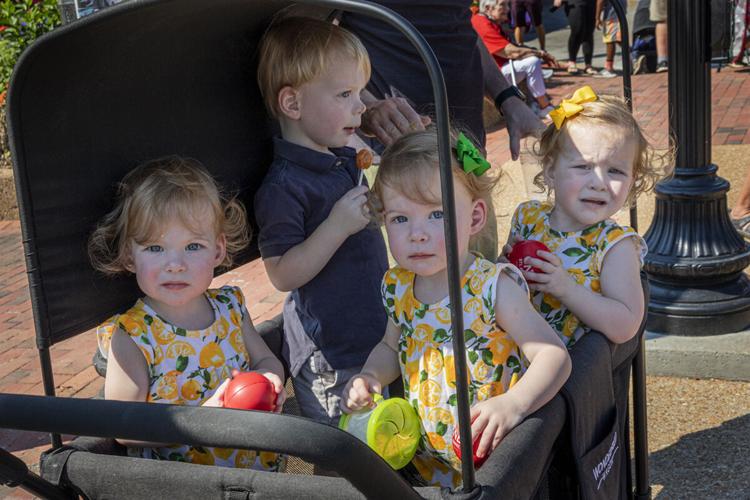 Kirkwood Greentree Festival 2022 ster Kirkwood Times