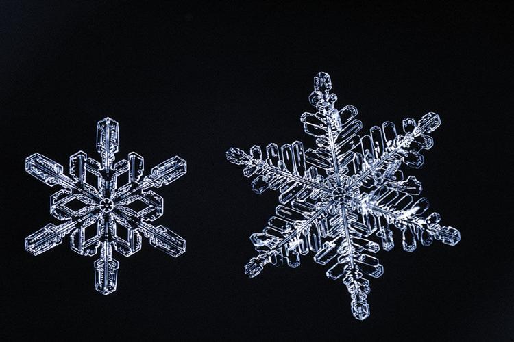 displayhunter: Louis Vuitton: Snowflakes formation