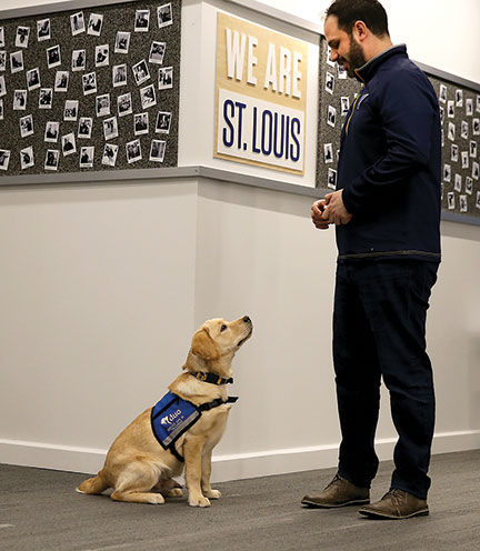 St. Louis Blues' Barclay named a Purina Pet Parade grand marshal