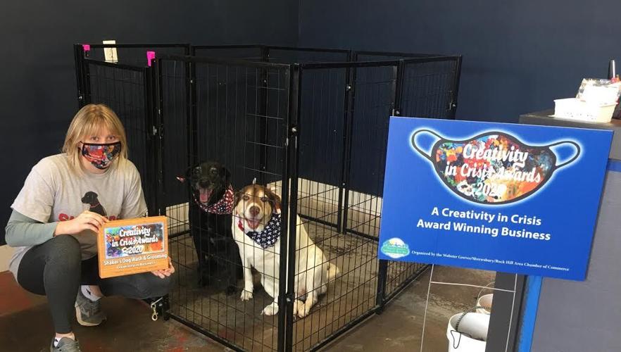 Chamber Awards Creativity In Crisis 2020 Winners ster Kirkwood