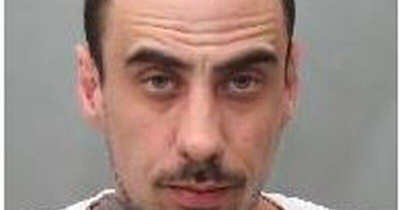 Toronto man arrested in human trafficking investigation