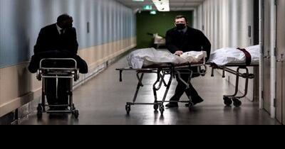 'My mom is not the only person COVID has killed this week.' Who is still dying from the virus in Ontario? | News - Vimarsana News
