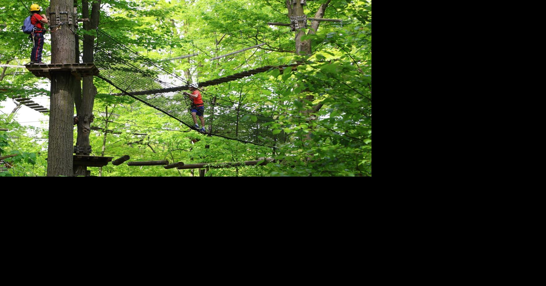 Treetop Trekking turns 20: How Ontario’s aerial adventure pioneer grew to 7 locations