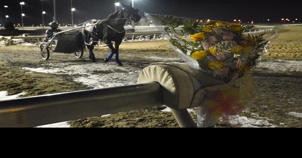 Woodbine Racetrack pays tribute to 43 horses killed in barn fire News