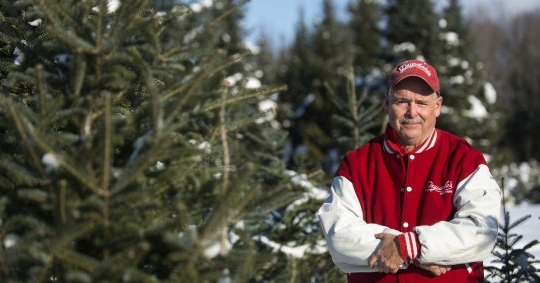 How Canadian Christmas trees end up all over the world