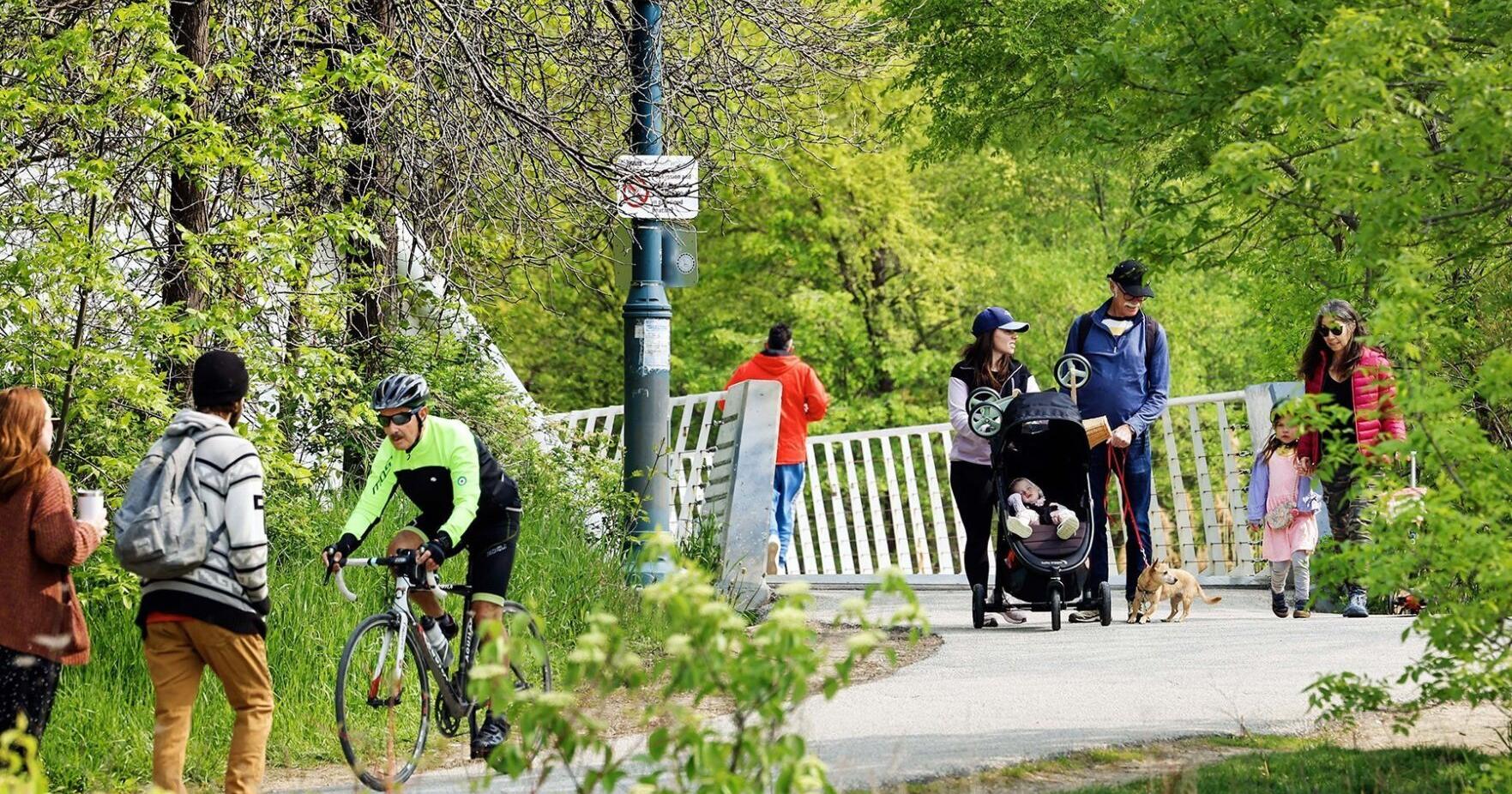 Sunny, warm long weekend coming up for southern Ontario - Vimarsana News