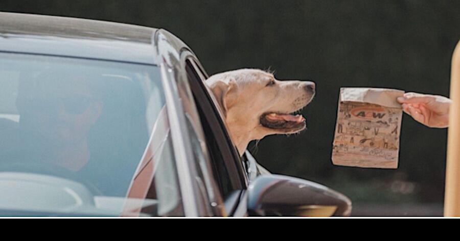 Get a burger for man’s best friend: Pup Patty for dogs introduced at A&W drive-thru in Ontario