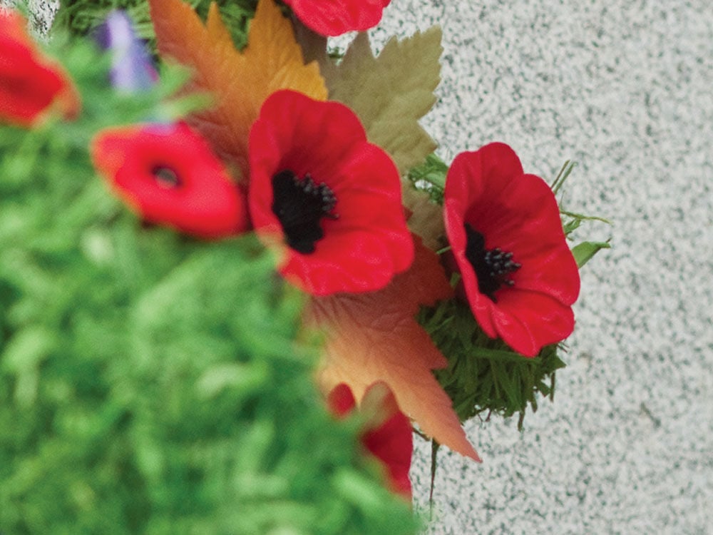 2021 marks the 100th anniversary of the remembrance poppy