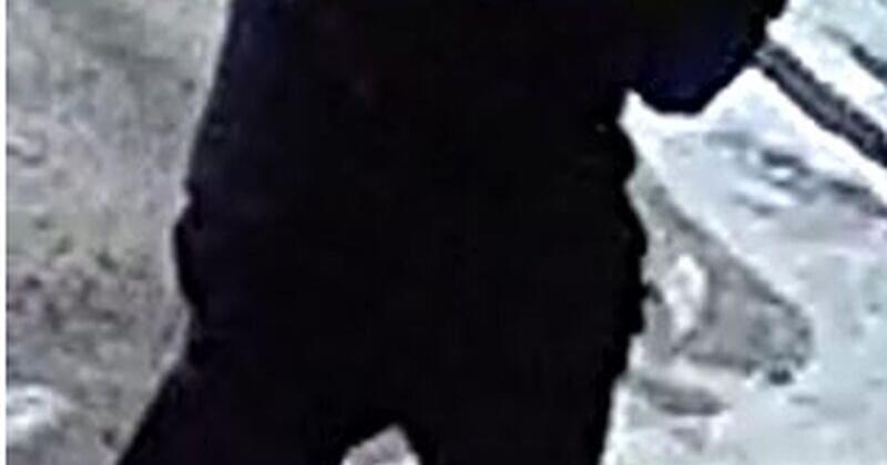 Toronto police hunt suspect after violent robbery of senior in North York