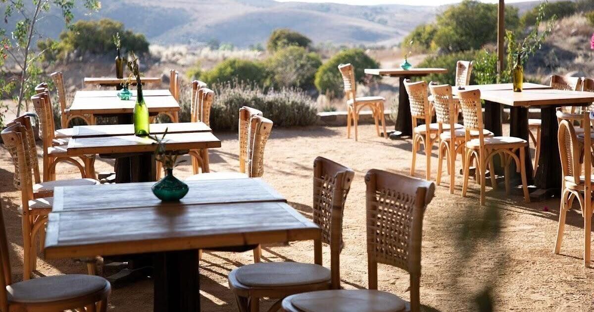 In Mexico, I skipped the beach for an unexpected destination: Baja’s wild and wonderful wine region