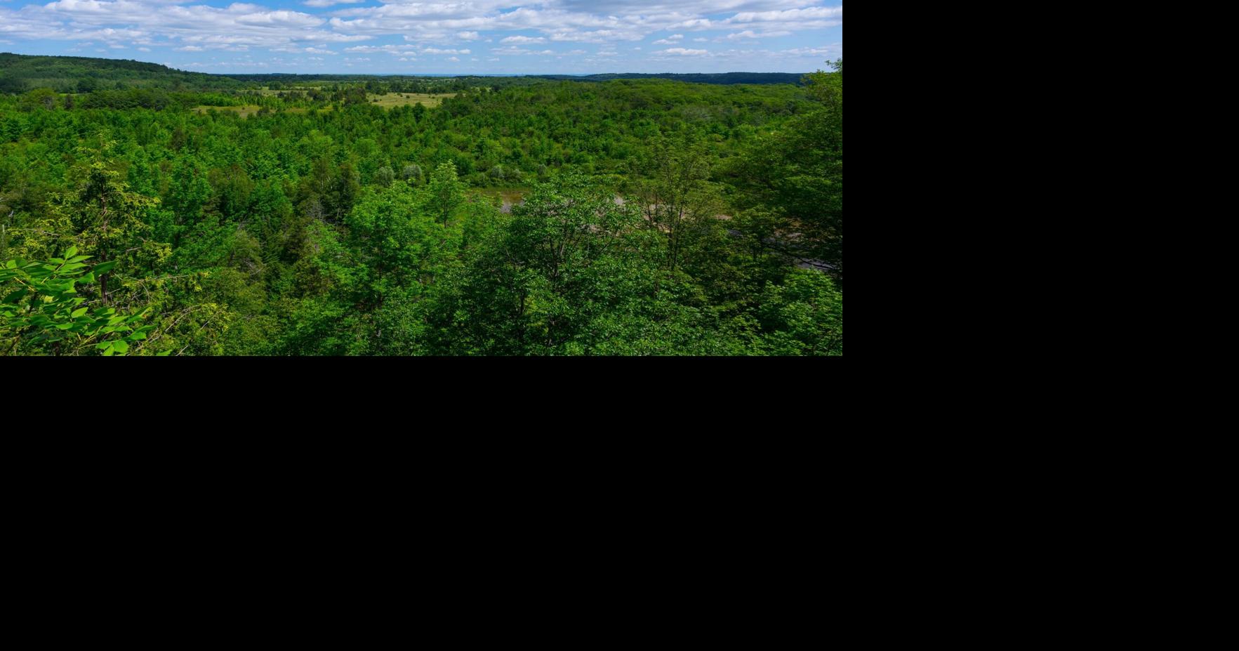 Rural Ontario town boasts rolling hills and spectacular landscapes