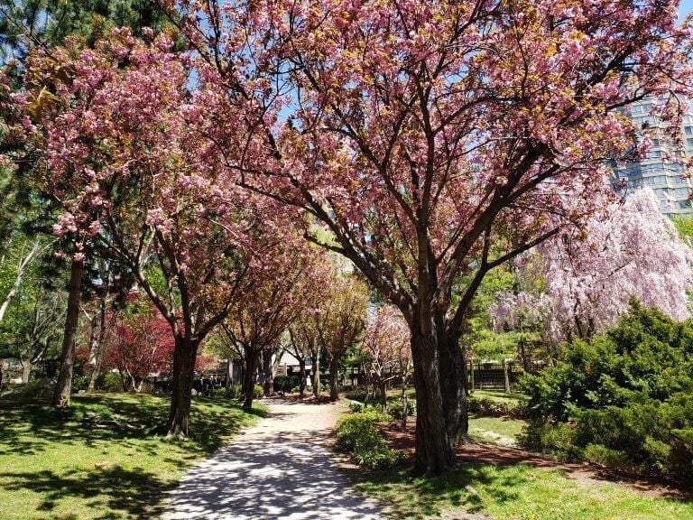 Kariya Park Activities