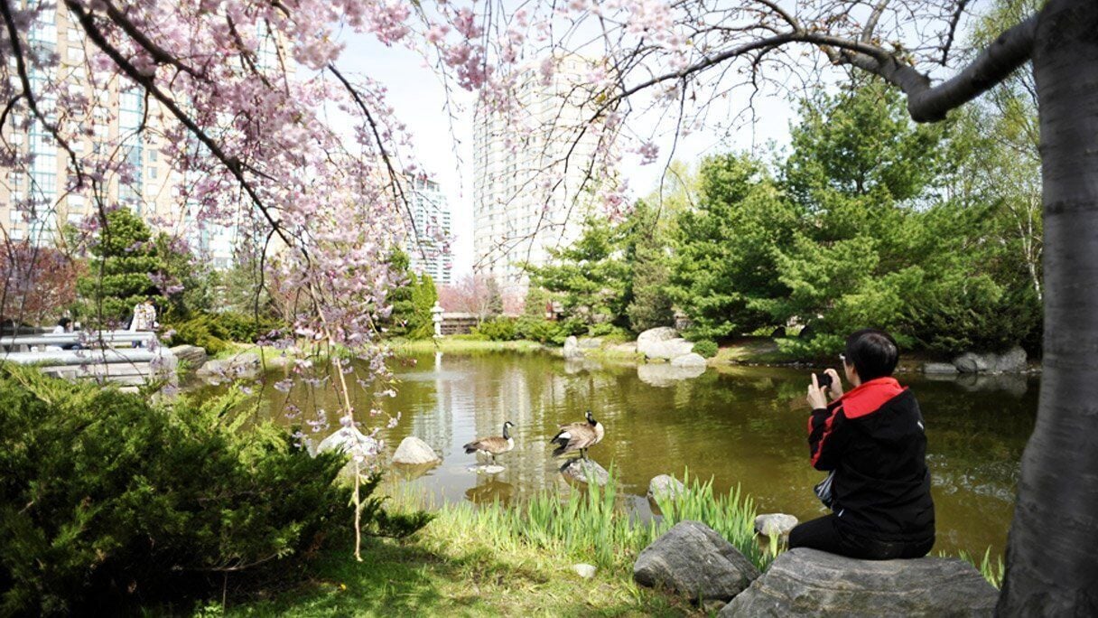 Takashi Murakami Jigsaw Puzzle Pandas in the Cherry Orchard