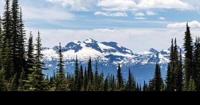 In Revelstoke, B.C., I found the wildest, most rugged forest I've ever seen — and the only one of its kind in the world | Life - Vimarsana News